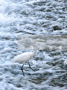 商丘百度有錢(qián)花停息掛賬減免利息-百度有錢(qián)花可以停息掛賬嗎