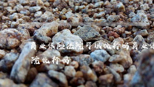 商业保险法院可以执行吗(商业保险可以被法院执行吗)
