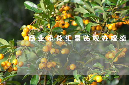 商业承兑汇票贴现办理流程是怎么样的