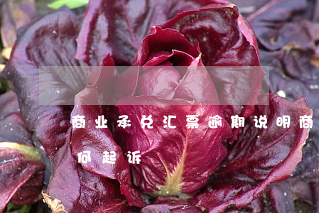 商业承兑汇票逾期说明(商业承兑汇票逾期如何起诉)