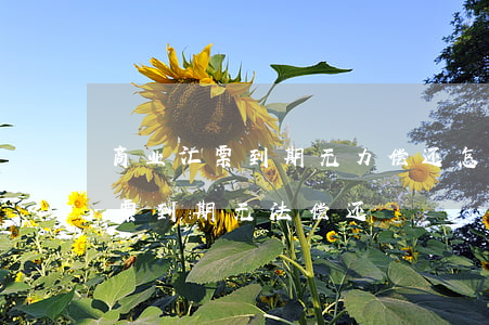 商业汇票到期无力偿还怎么做例题-商业汇票到期无法偿还