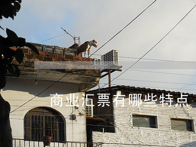 商业汇票有哪些特点