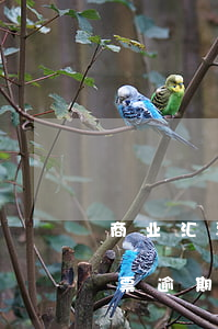 商业汇票逾期说明一般找什么理由-商业汇票逾期怎么办