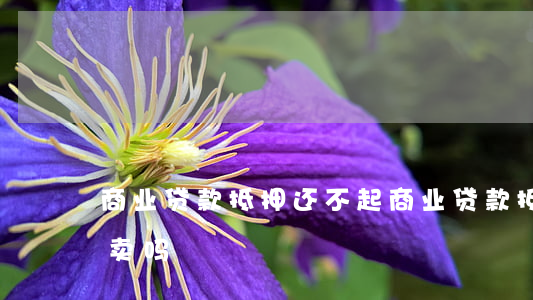 商业贷款抵押还不起(商业贷款抵押的房子能卖吗)