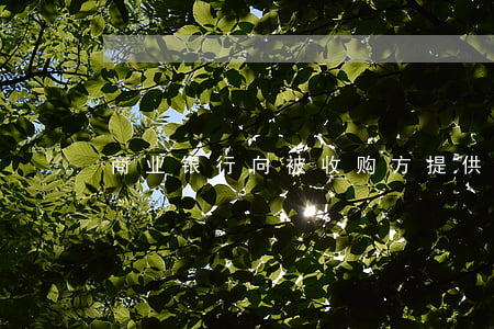 商业银行向被收购方提供哪些服务