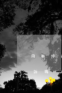 商事仲裁后可以訴訟嗎(仲裁生效后還可以起訴嗎)