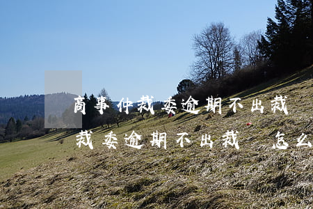 商事仲裁委逾期不出裁決怎么投訴-商事仲裁委逾期不出裁決怎么投訴他
