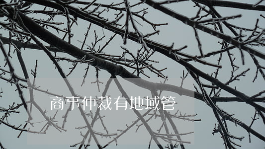 商事仲裁有地域管轄嗎
