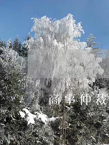 商事仲裁逾期可向法院起訴(商事仲裁可以上訴嗎)