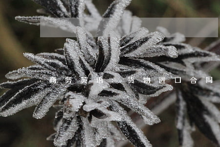 商务英语:货物进口合同