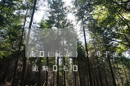 商務(wù)信用卡逾期一天多少錢(信用卡逾期幾毛錢)