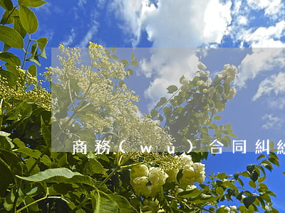 商務(wù)合同糾紛的處理有哪些
