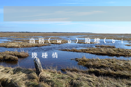 商務(wù)廢標(biāo)的條件有哪幾種情況