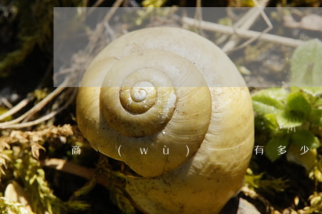 商務(wù)糾紛有多少種