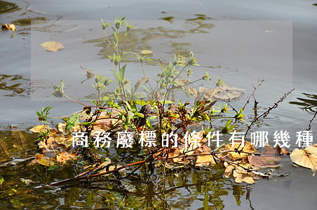 商務廢標的條件有哪幾種情況