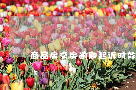商品房交房逾期起诉时效(交房时间逾期)