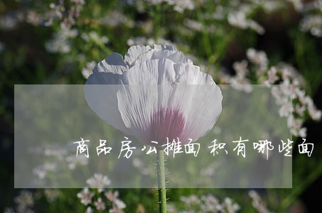 商品房公摊面积有哪些（面积测算方法）