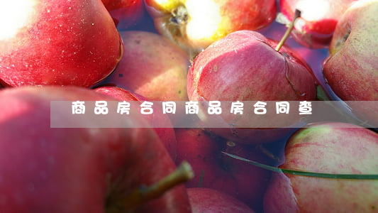 商品房合同(商品房合同查詢)