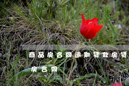商品房合同逾期贷款(房贷逾期开发商解除购房合同)