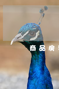 商品房契稅(商品房契稅計(jì)算器)