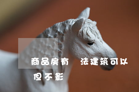 商品房有違法建筑可以過戶嗎(二手房有違建但不影響過戶)