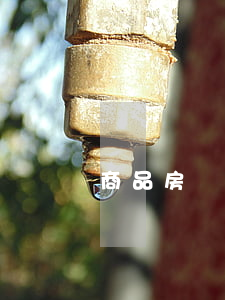商品房認購書