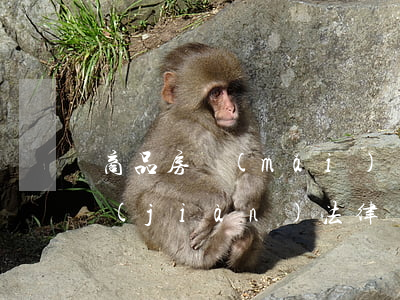 商品房買(mǎi)賣(mài)糾紛常見(jiàn)法律問(wèn)題