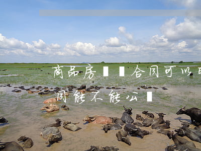 商品房買賣合同可以司法公證嗎(房屋買賣合同能不能公證)