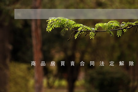 商品房買賣合同法定解除權(quán)