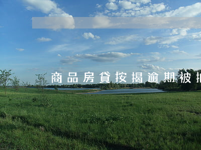 商品房貸按揭逾期被拍賣