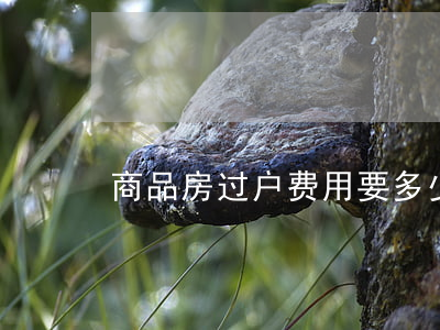 商品房过户费用要多少钱