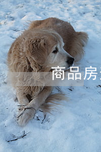 商品房逾期交房起訴時效