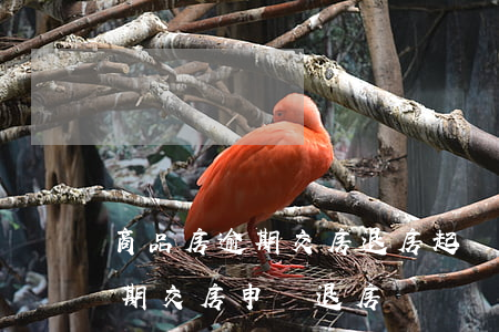 商品房逾期交房退房起訴狀范本-商品房逾期交房申請退房