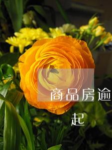 商品房逾期訴訟時(shí)效-商品房違約起訴時(shí)效