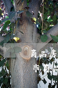商品房預(yù)售管理辦法(無(wú)錫市商品房預(yù)售管理辦法)