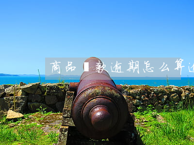 商品貸款逾期怎么算(逾期貸款率計算公式)