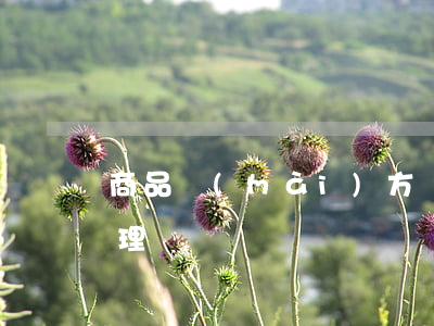 商品賣(mài)方虛假宣傳按消法如何處理