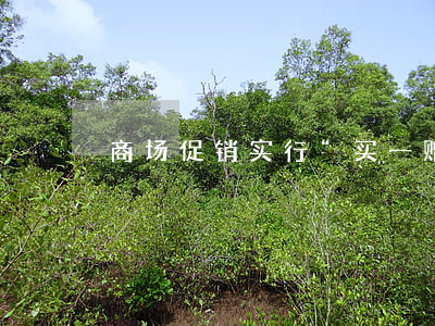 商场促销实行“买一赠一”增值税如何处理