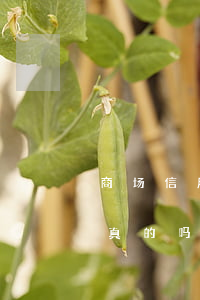 商场信用卡可以透支吗(在商场推销信用卡是真的吗)