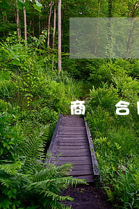商場合同糾紛找哪個部門