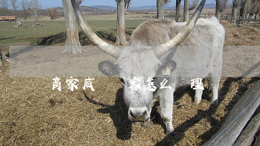商家威脅顧客怎么處理