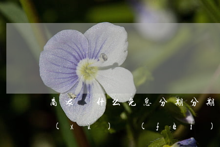 商家為什么免息分期 分期免息為啥還要手續(xù)費(fèi)