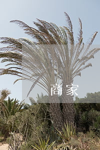 商家違約侵權(quán)如何賠償