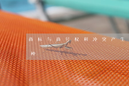 商标与商号权利冲突产生的原因主要有哪几种