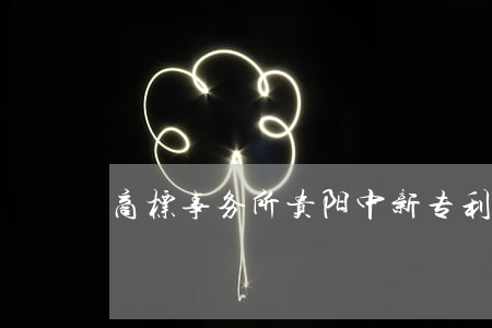 商标事务所(贵阳中新专利商标事务所)
