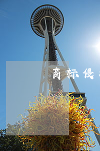 商标侵权一般罚多少钱(侵犯商标权怎么罚款)