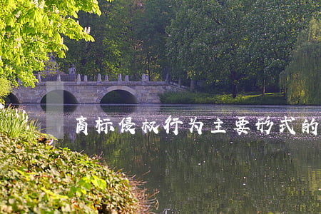 商标侵权行为主要形式的表现