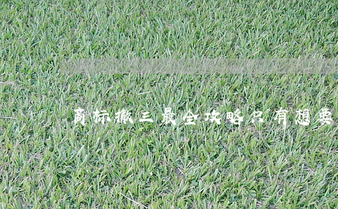 “商标撤三”最全攻略：只有想要，没有得不到