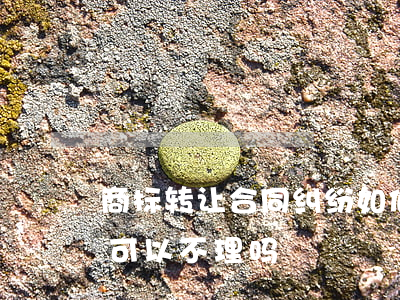 商标转让合同纠纷如何处理(侵害商标纠纷案可以不理吗)