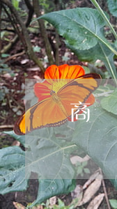 商業(yè)保密協(xié)議范本